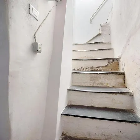Apartment Domus Madonnina *